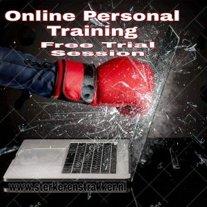 online personal training boxing